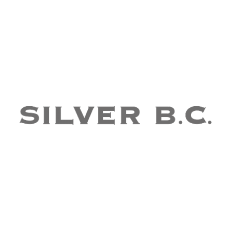 SILVER B.C., s.r.o.